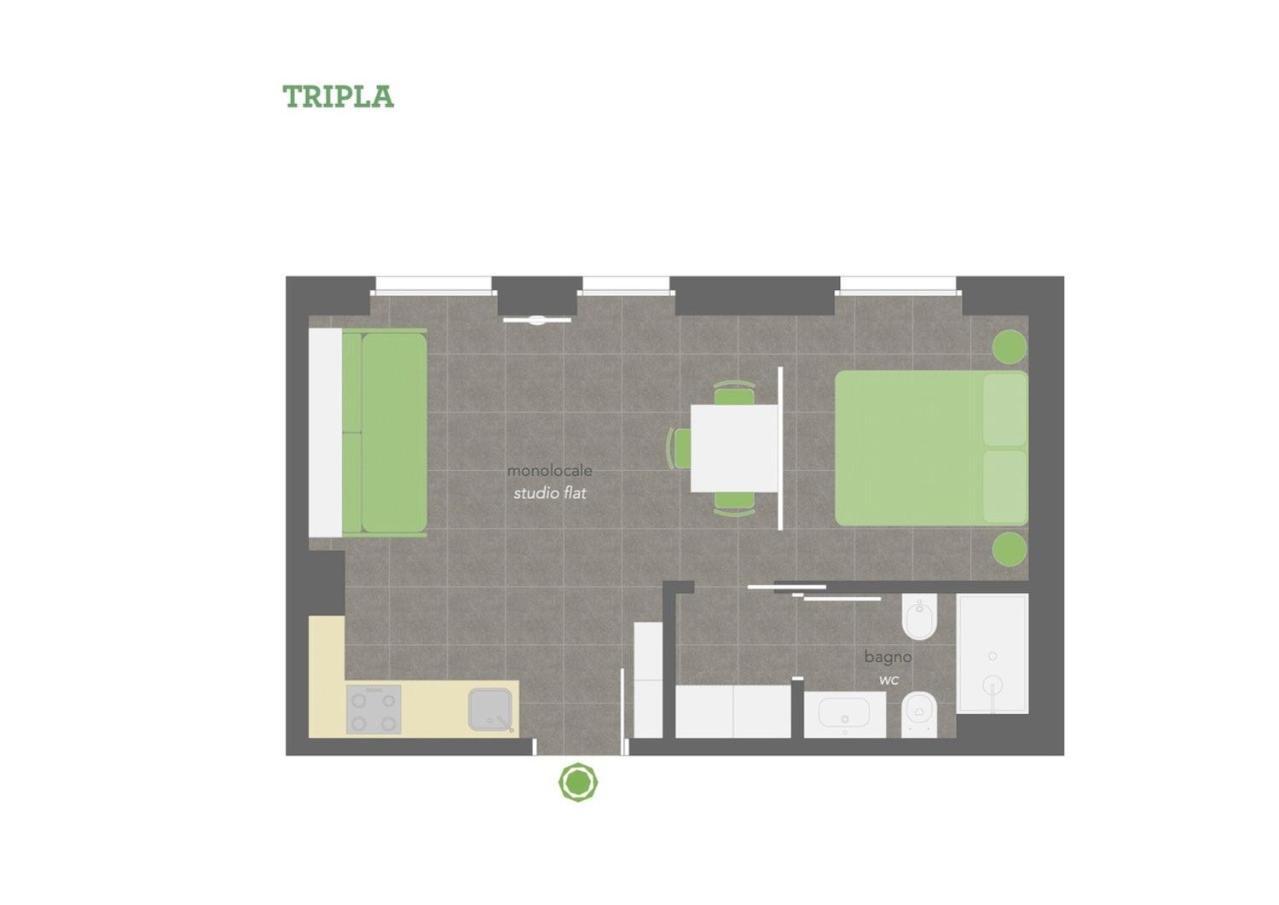 Standard Triple Studio